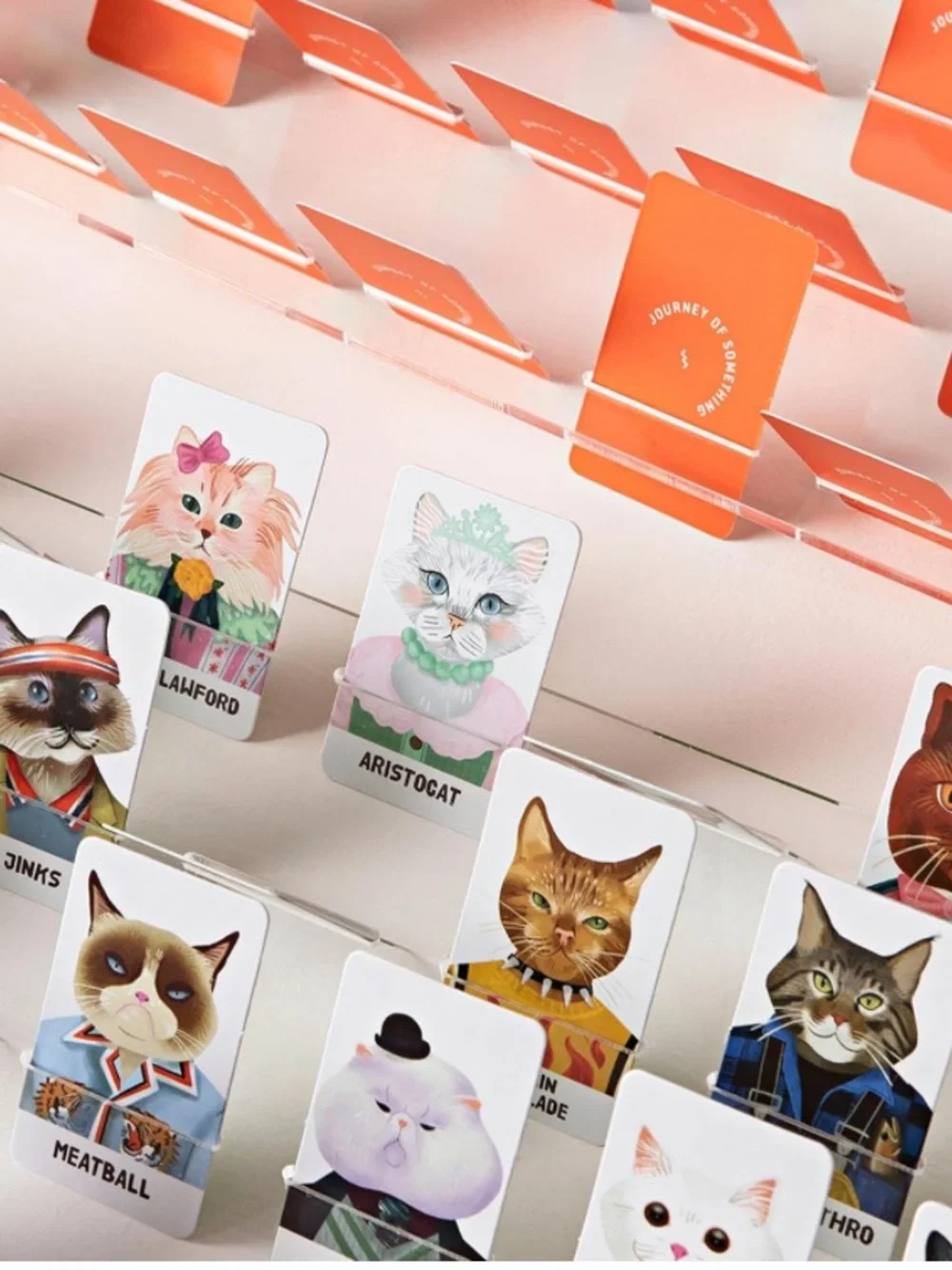 Guess the Feline Kids Toy Game - Colorful Cat Characters